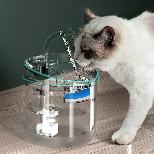 Fuente de agua limpia para Gatos