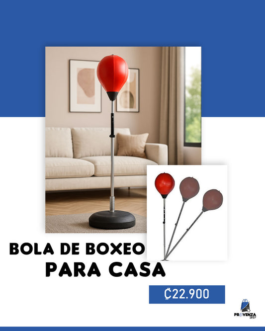Boxeo en casa